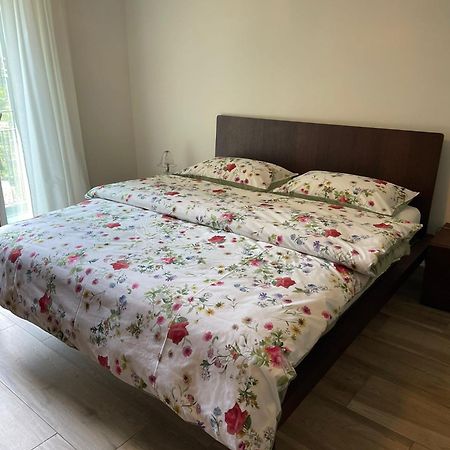 Appartamenti Ramarro Ronco sopra Ascona Eksteriør bilde